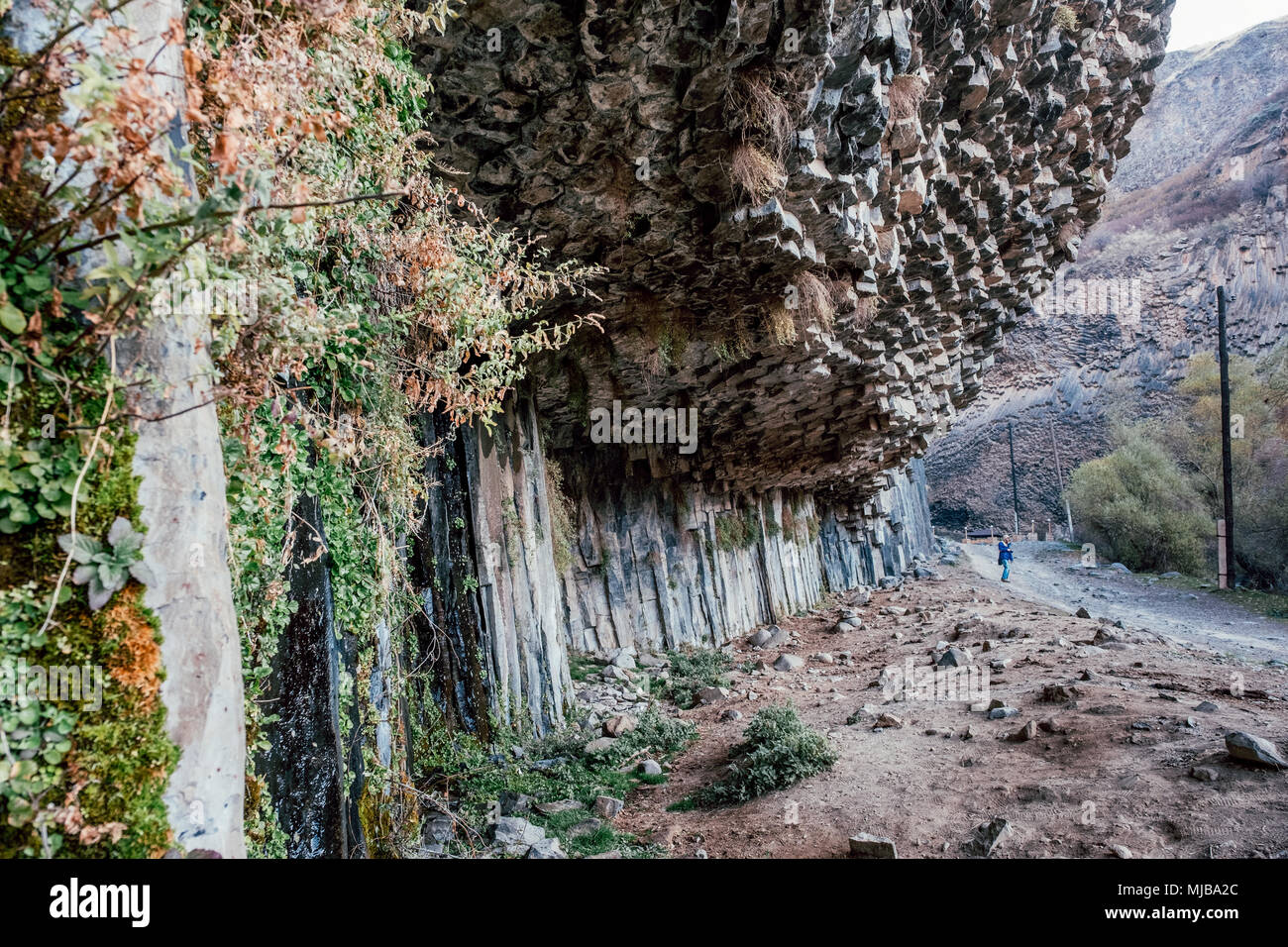 Colonne di basalto in Garni Gorge. Armenia. Foto Stock