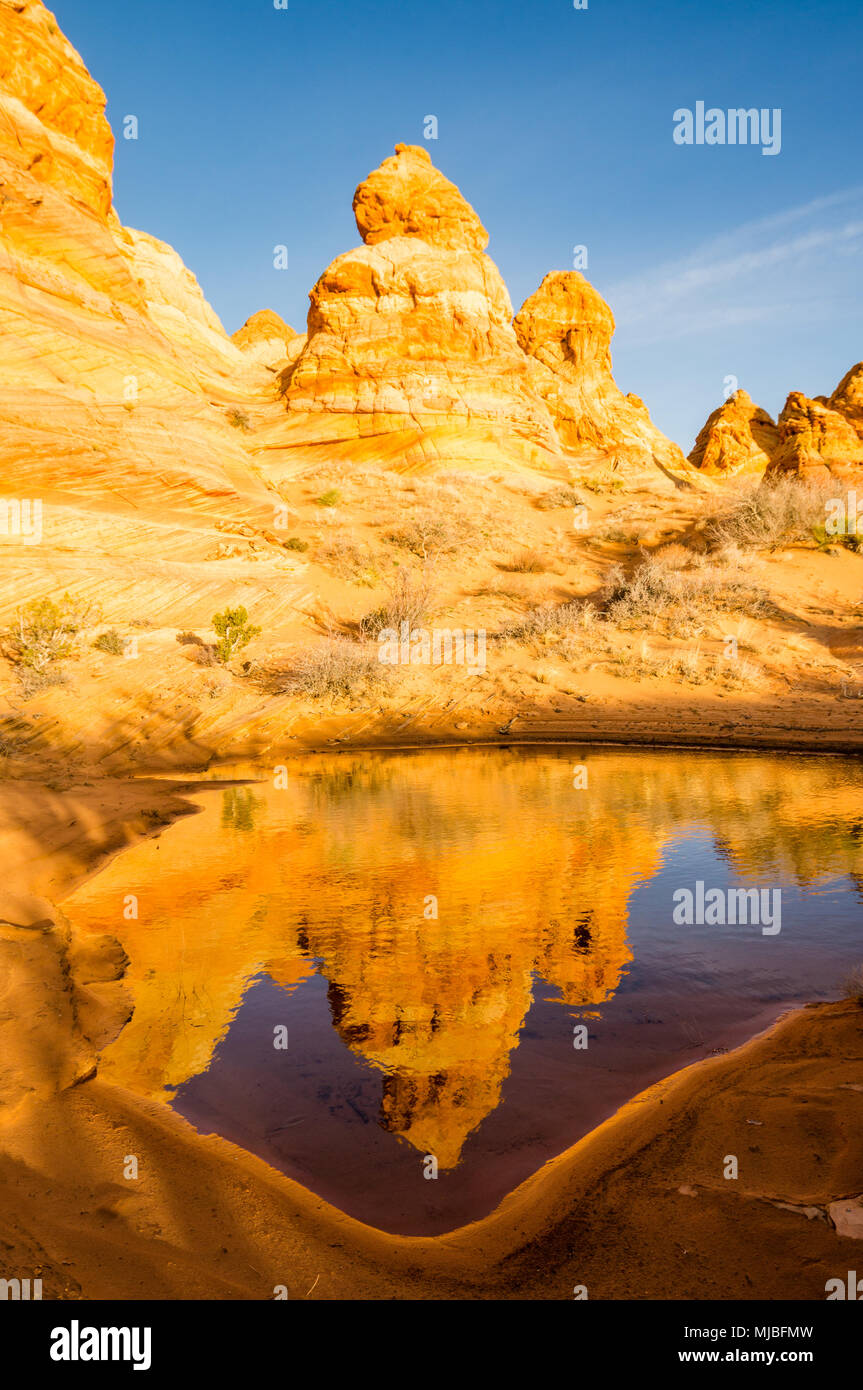 La riflessione di arenaria colorate formazioni tepee pioppi neri americani accesso area sud Coyote Buttes Vermilion Cliffs National Monument in Arizona USA Foto Stock