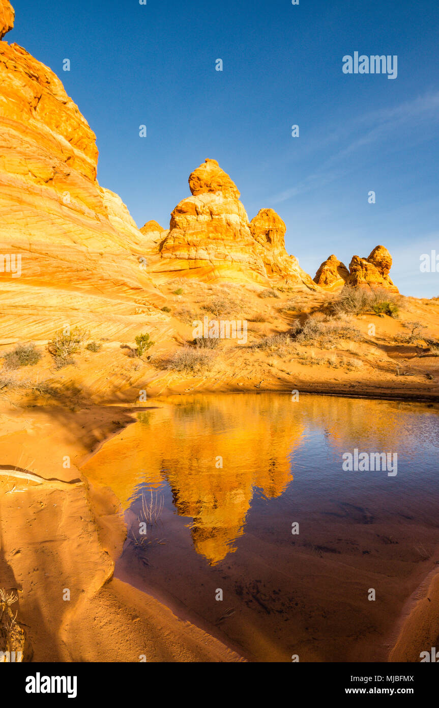 La riflessione di arenaria colorate formazioni tepee pioppi neri americani accesso area sud Coyote Buttes Vermilion Cliffs National Monument in Arizona USA Foto Stock