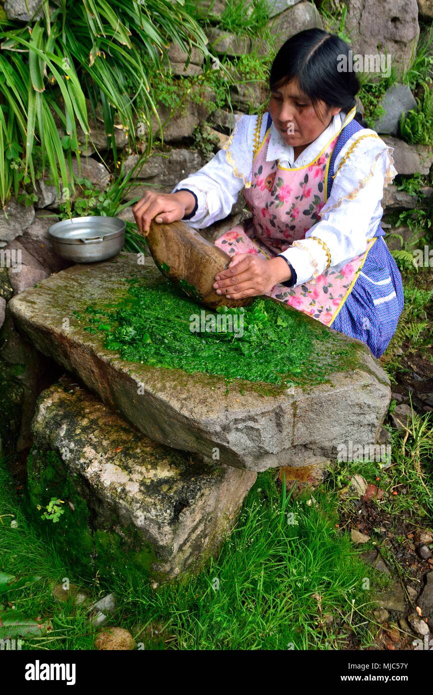 Macinazione di prezzemolo sulla pietra - Ristorante a GRANJA PORCON - cooperativa evangelica - Dipartimento di Cajamarca .PERÙ Foto Stock