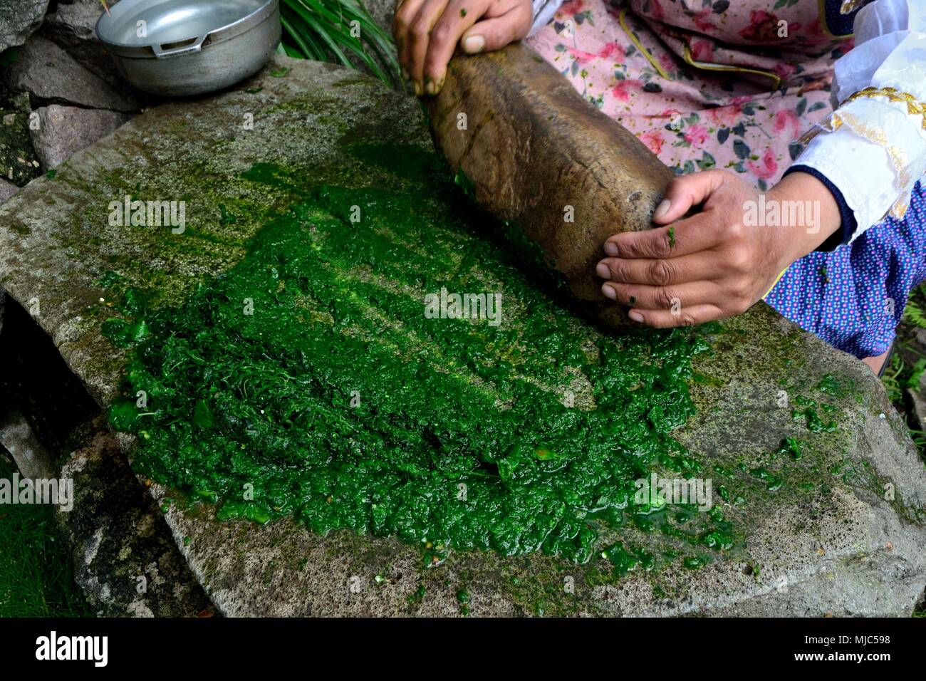 Macinazione di prezzemolo sulla pietra - Ristorante a GRANJA PORCON - cooperativa evangelica - Dipartimento di Cajamarca .PERÙ Foto Stock