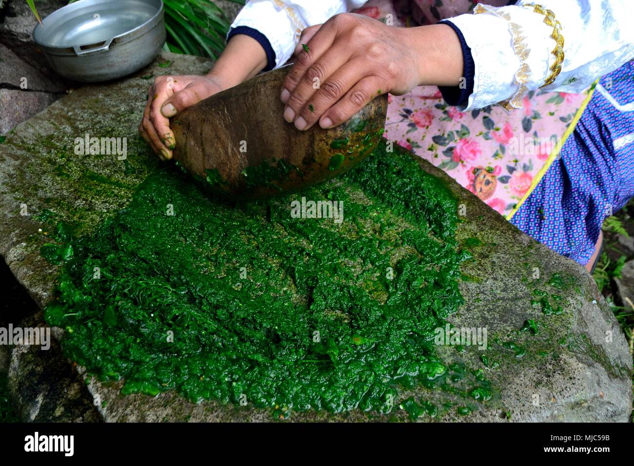 Macinazione di prezzemolo sulla pietra - Ristorante a GRANJA PORCON - cooperativa evangelica - Dipartimento di Cajamarca .PERÙ Foto Stock