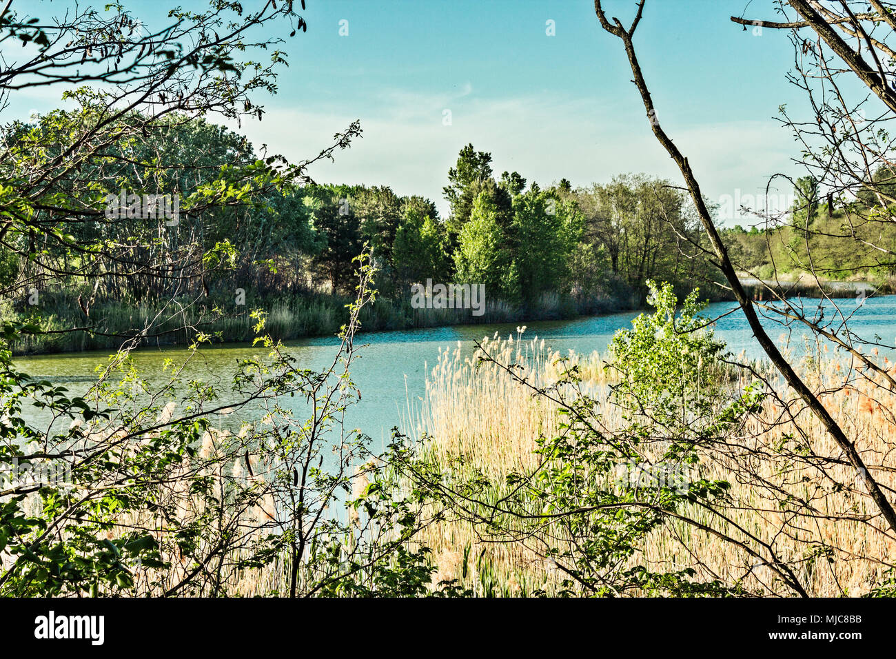 Si ha una vista del lago Balastnoe che è in Ucraina Foto Stock