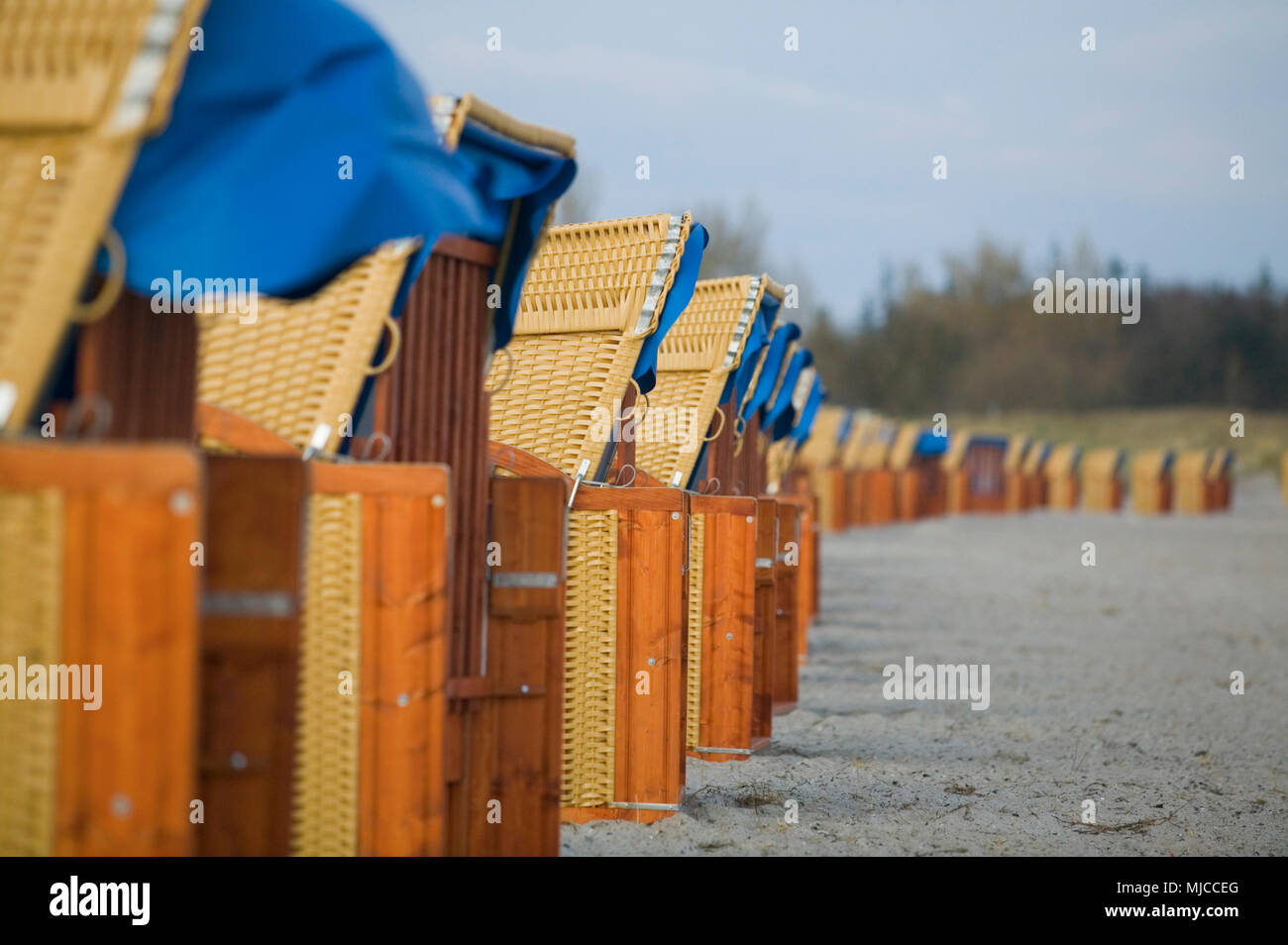 Sedie Beaxh in attesa per gli ospiti presso la spiaggia del mar baltico dell'Isola di Fehmarn, Germania Foto Stock