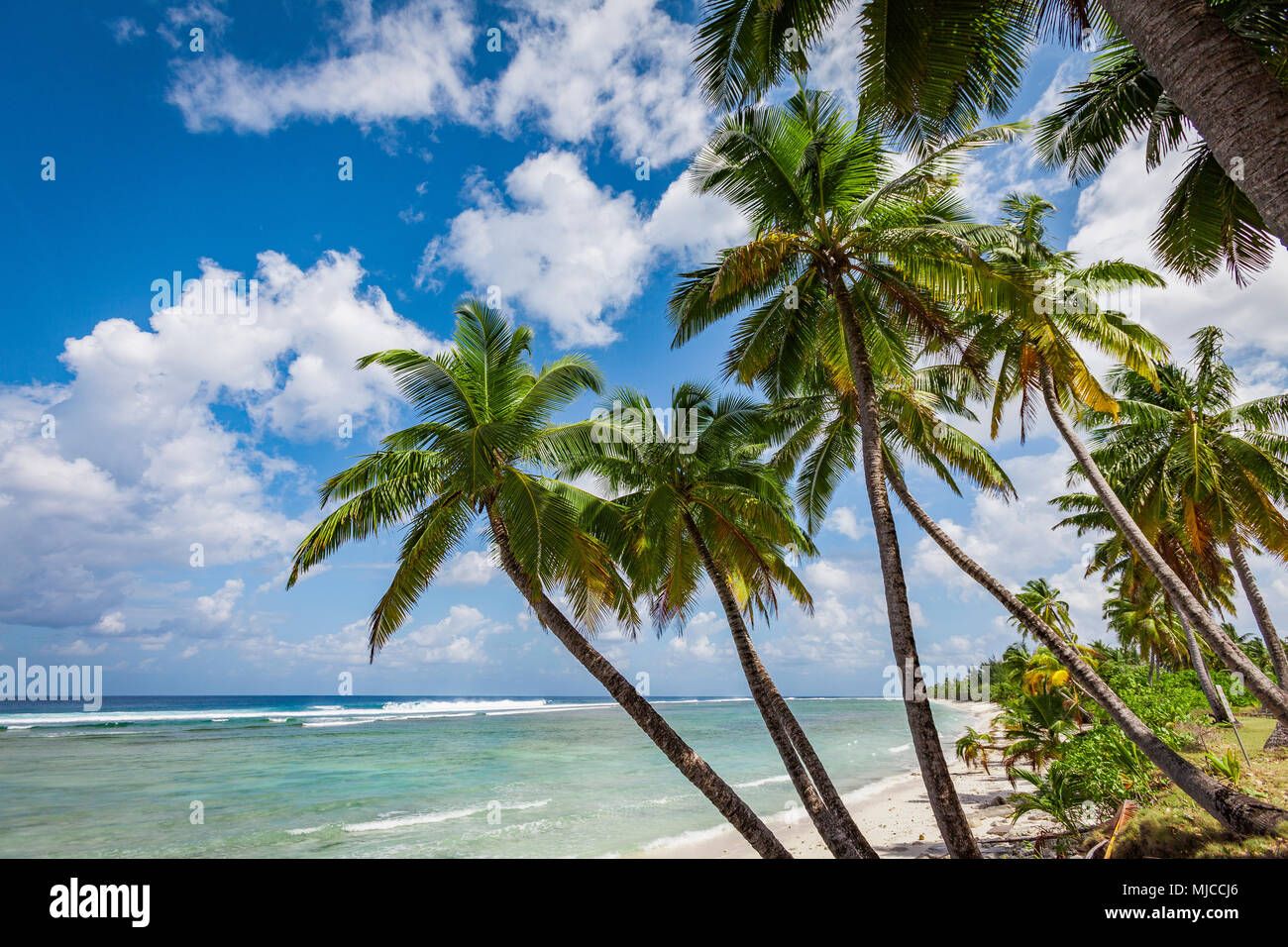 Sandnes bianca spiaggia con palme e il verde e il blu acqua su Cocos keeling Atoll, Australia, Oceano indiano Foto Stock