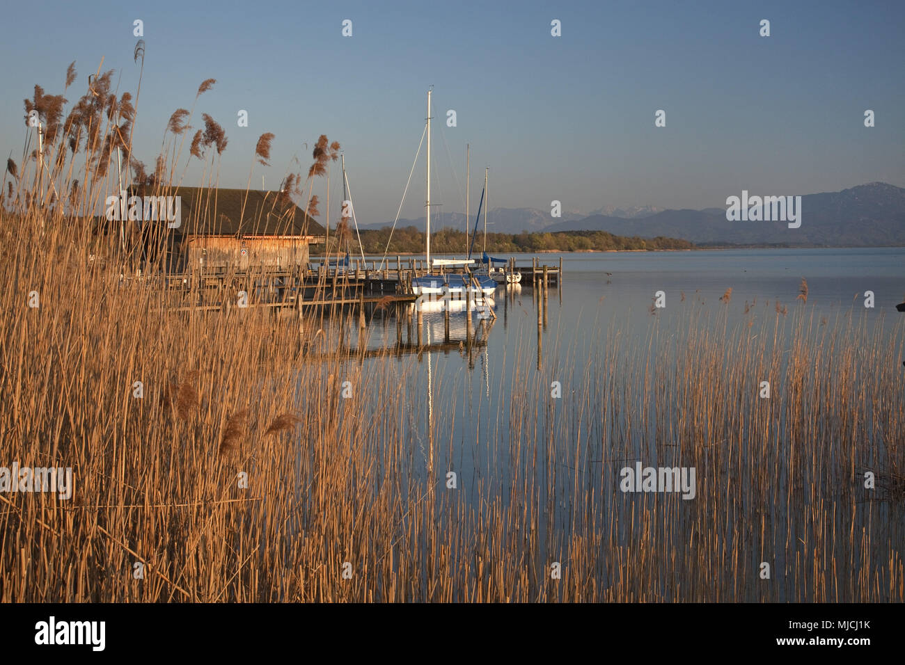 Il Boathouse e barche in Chiemsee, Seeon-Seebruck, Chiemgau, Alta Baviera, Baviera, Germania meridionale, Germania, Foto Stock