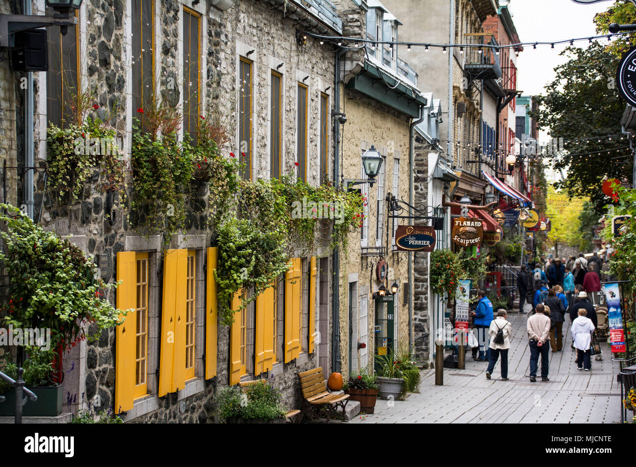 Città Vecchia con la Rue du Petit-Champlain nella città di Québec Foto Stock