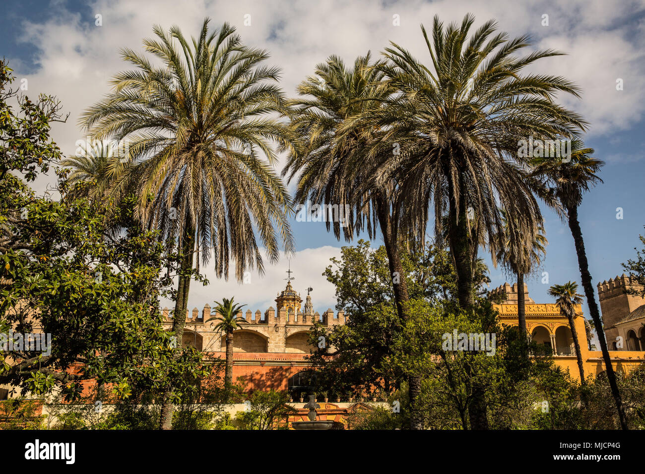 L'Europa, Spagna, Andalusia, Siviglia, Alcázar, giardino, Royal Garden, palme, architettura di giardino, Foto Stock