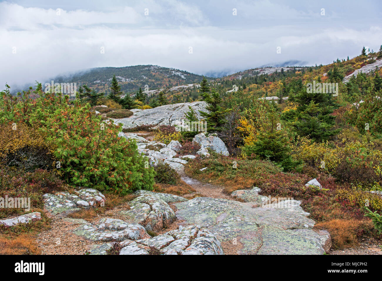 Rocce di granito nel Parco Nazionale di Acadia vicino a Bar Harbor negli Stati Uniti Foto Stock