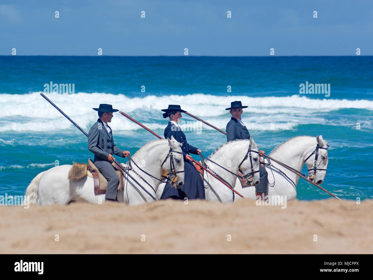 Dressage piloti su cavalli bianchi su una spiaggia portoghese Foto Stock