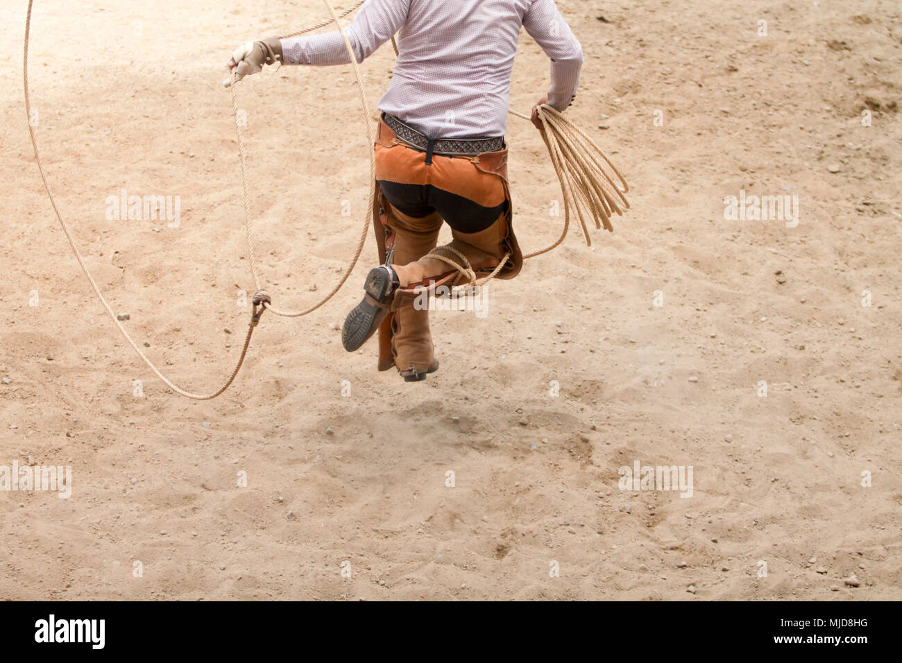 Mexican charro saltando attraverso il suo lazo, la charreria (equitazione), charreada Foto Stock