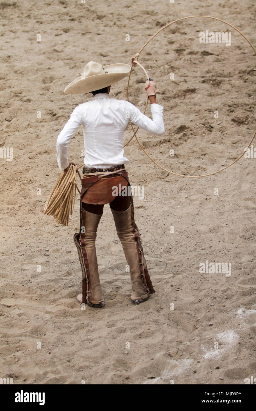 Charro messicano di eseguire in un charreada, la charreria (equitazione), Mexican Hat Foto Stock