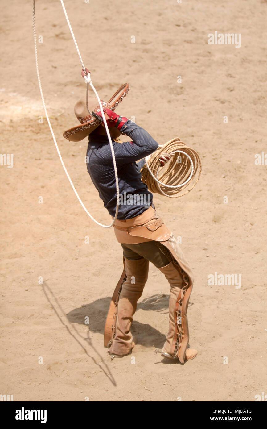 Charro messicano di eseguire con un lazo, la charreria (equitazione), charreadas Foto Stock