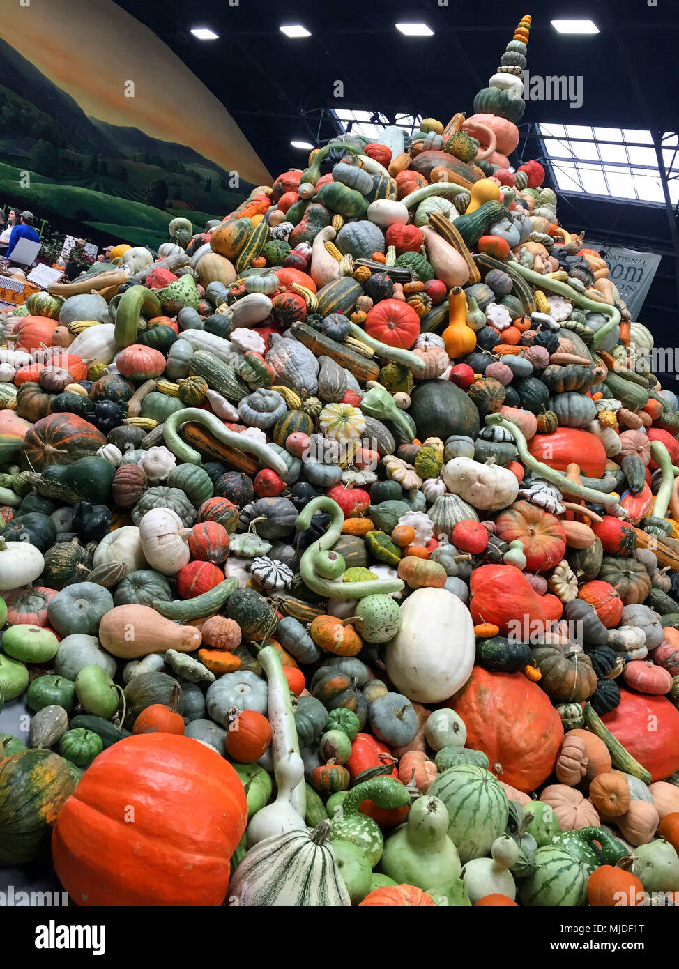 Una pila impilati di squash e zucche al 2017 cimelio nazionale Expo di Santa Rosa, CA. Foto Stock