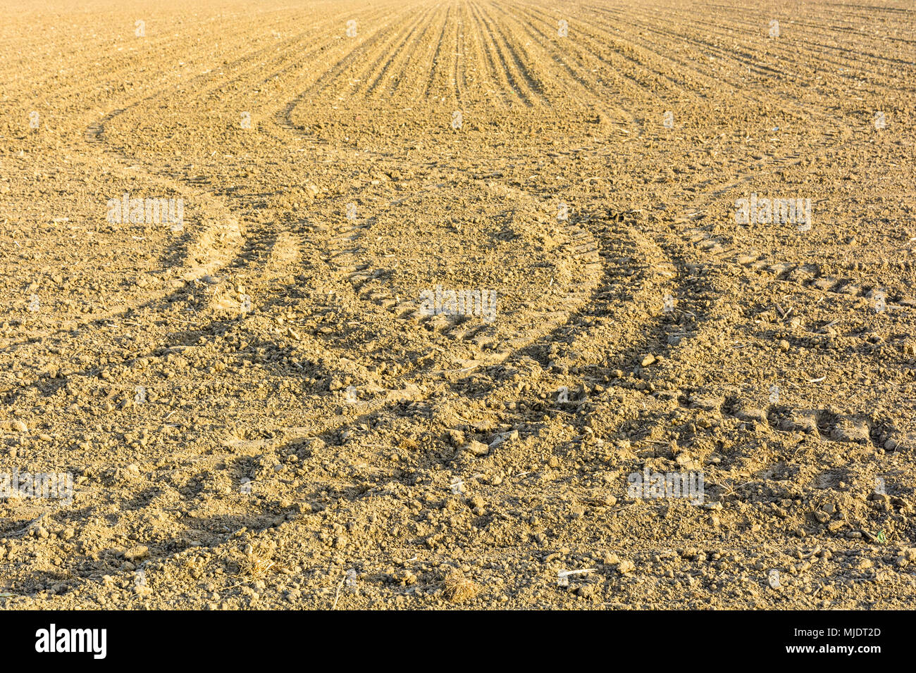 Un secco erpicò terreni pronti per la semina, mostrando i solchi di luce e tracce geometriche che i pneumatici del trattore sotto una luce radente nella campagna francese. Foto Stock