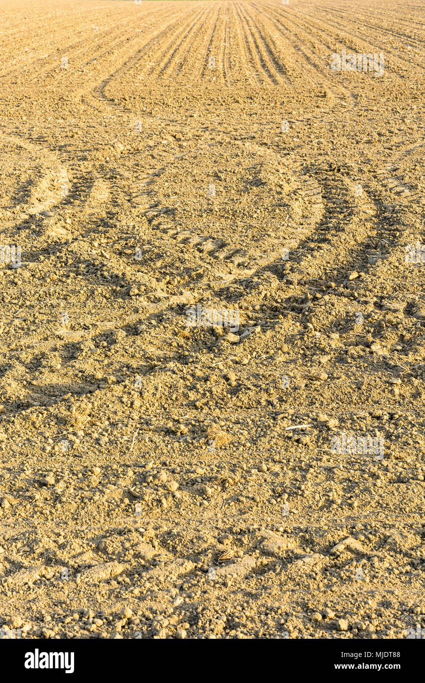 Un secco erpicò terreni pronti per la semina, mostrando i solchi di luce e tracce geometriche che i pneumatici del trattore sotto una luce radente nella campagna francese. Foto Stock