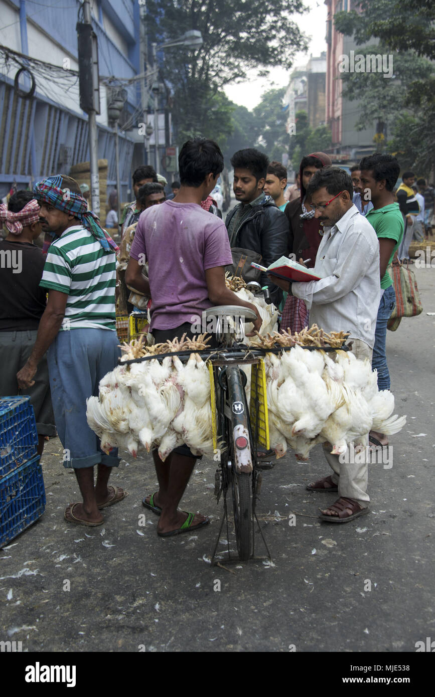 Le vendite di pollo in Kolkata, India sulla strada Foto Stock