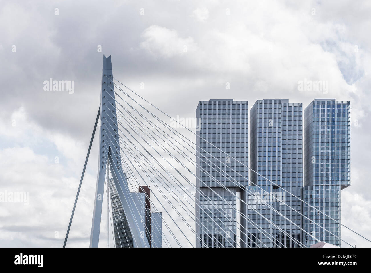 Erasmusbrücke, dettaglio a Rotterdam Foto Stock