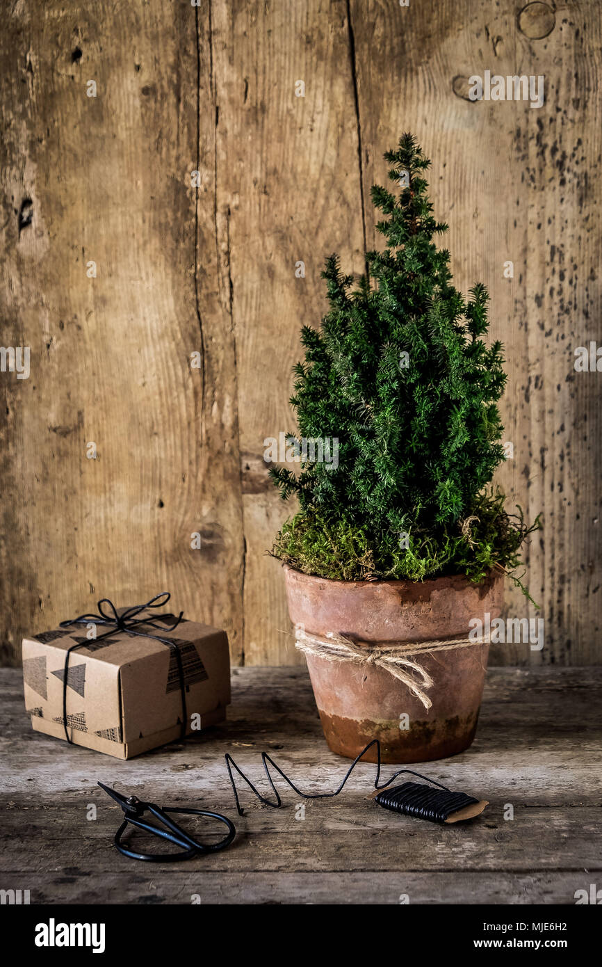 Piccolo albero di Natale nel tono di pentola e presente sul tavolo di legno nella parte anteriore della parete in legno Foto Stock