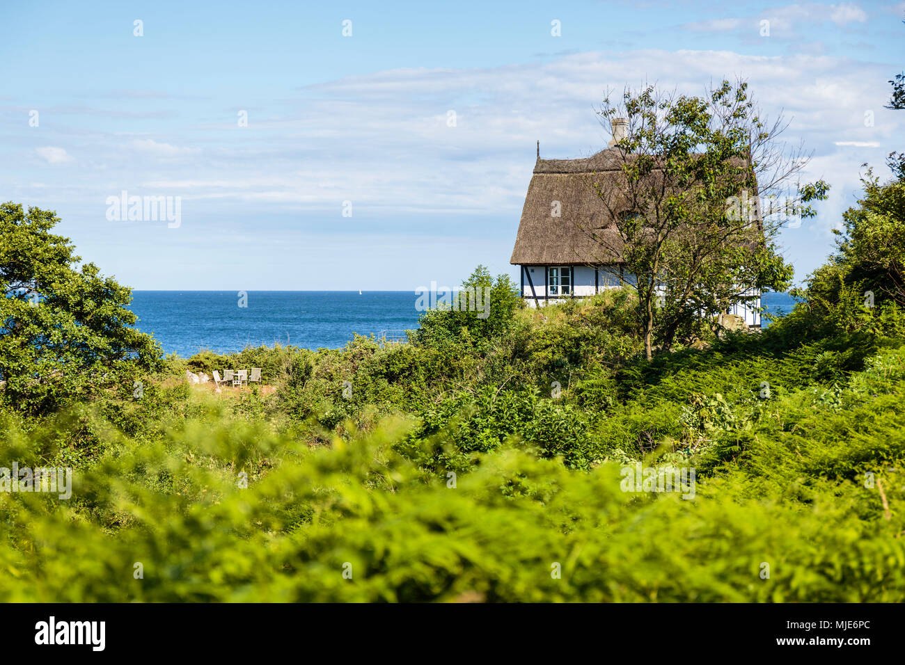 Una idilliaca casa costiera a sud di Randkløve Skår, il Mar Baltico in background, Europa, Danimarca, Bornholm, Foto Stock