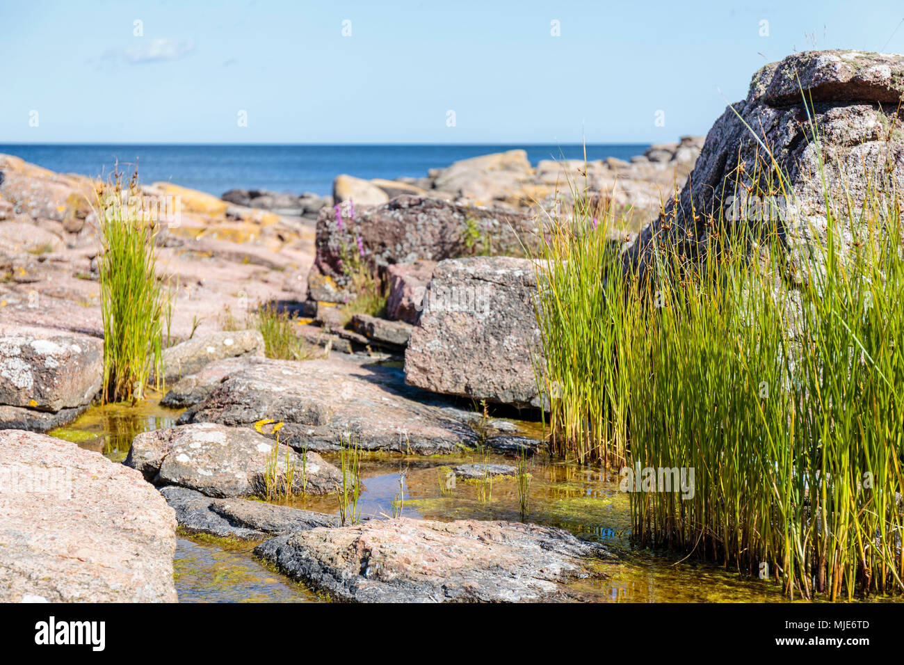 Idilliaco area costiera a sud di Årsdale, Europa, Danimarca, Bornholm, Foto Stock
