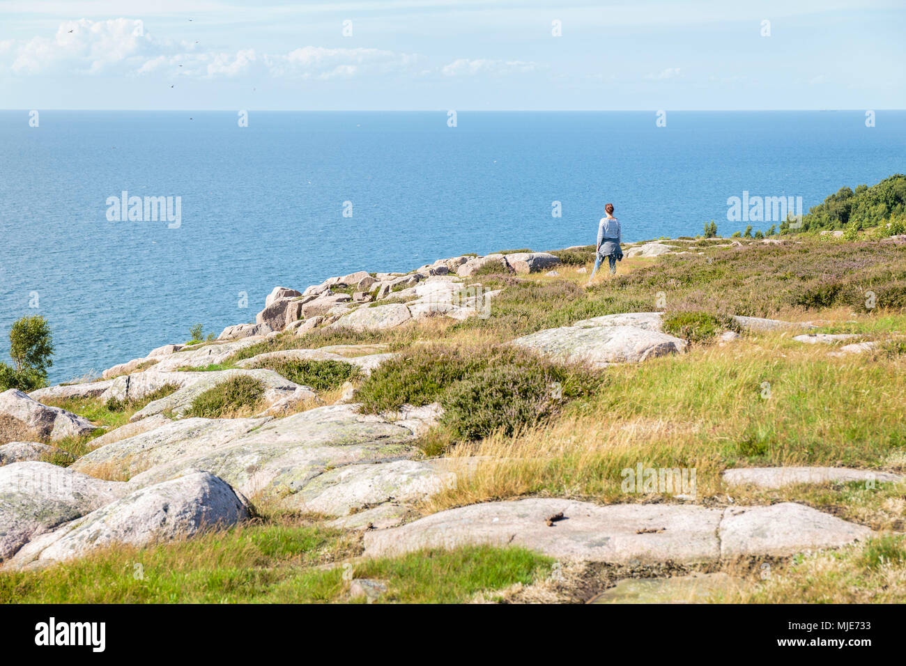 Il Slotslyngen a sud di Hammershus, il Mar Baltico in background, Europa, Danimarca, Bornholm, Foto Stock