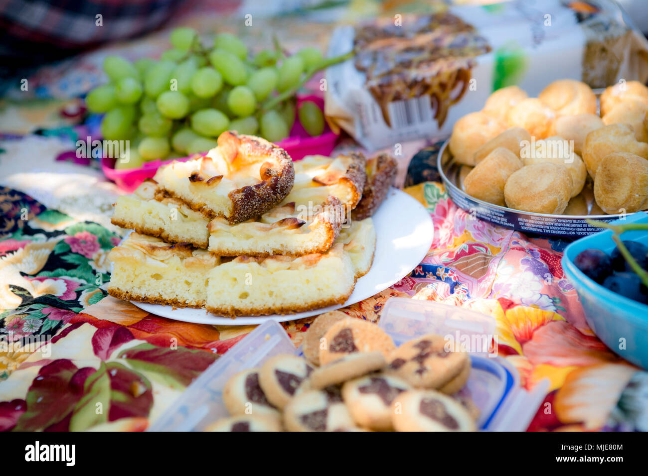 Cibi sulla coperta picnic Foto Stock