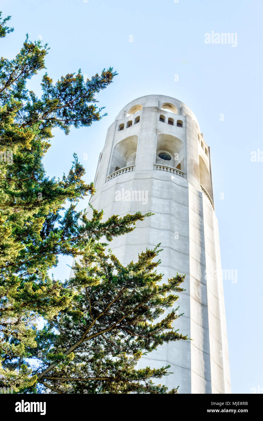 Coit Tower è un famoso punto di riferimento nella Telegraph Hill quartiere di San Francisco. Foto Stock