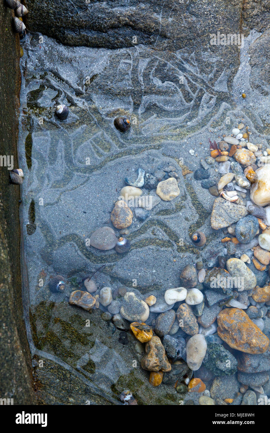 Sentieri di lumaca in sabbia a bassa marea Foto Stock