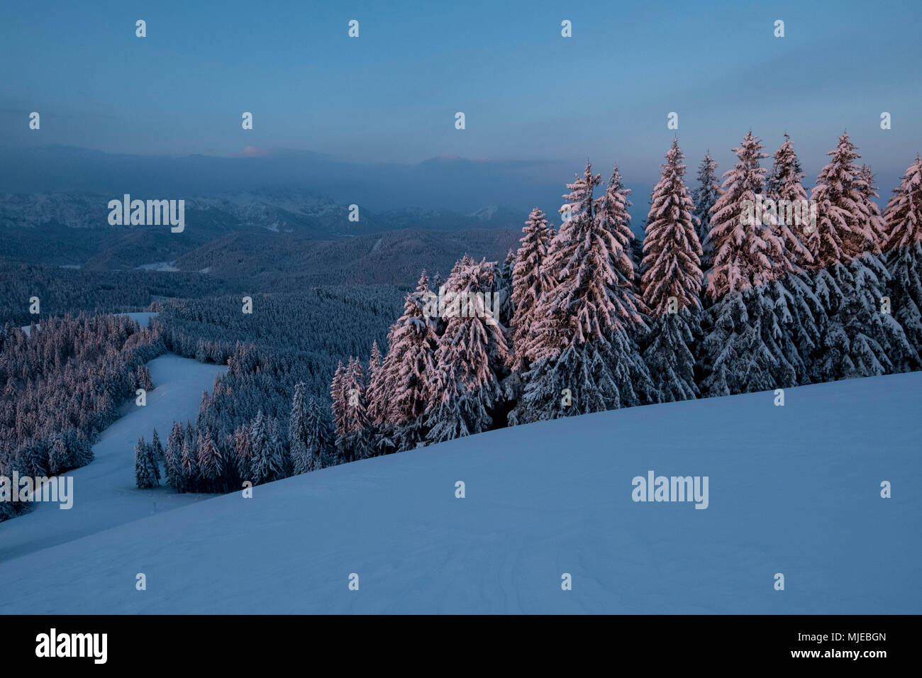 Atmosfera mattutina a Zwiesel in inverno, vicino Bad Tölz, Alpi Bavaresi, in Baviera, Germania, Foto Stock