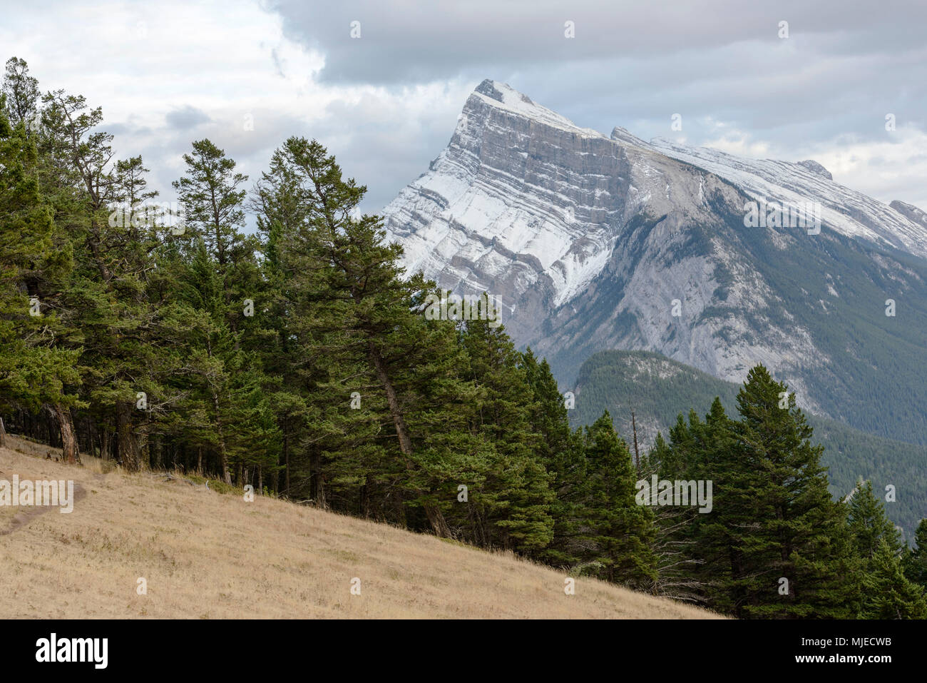 Banff Natioanl Park, foresta, montagna, strati, geologia, pendenza Foto Stock