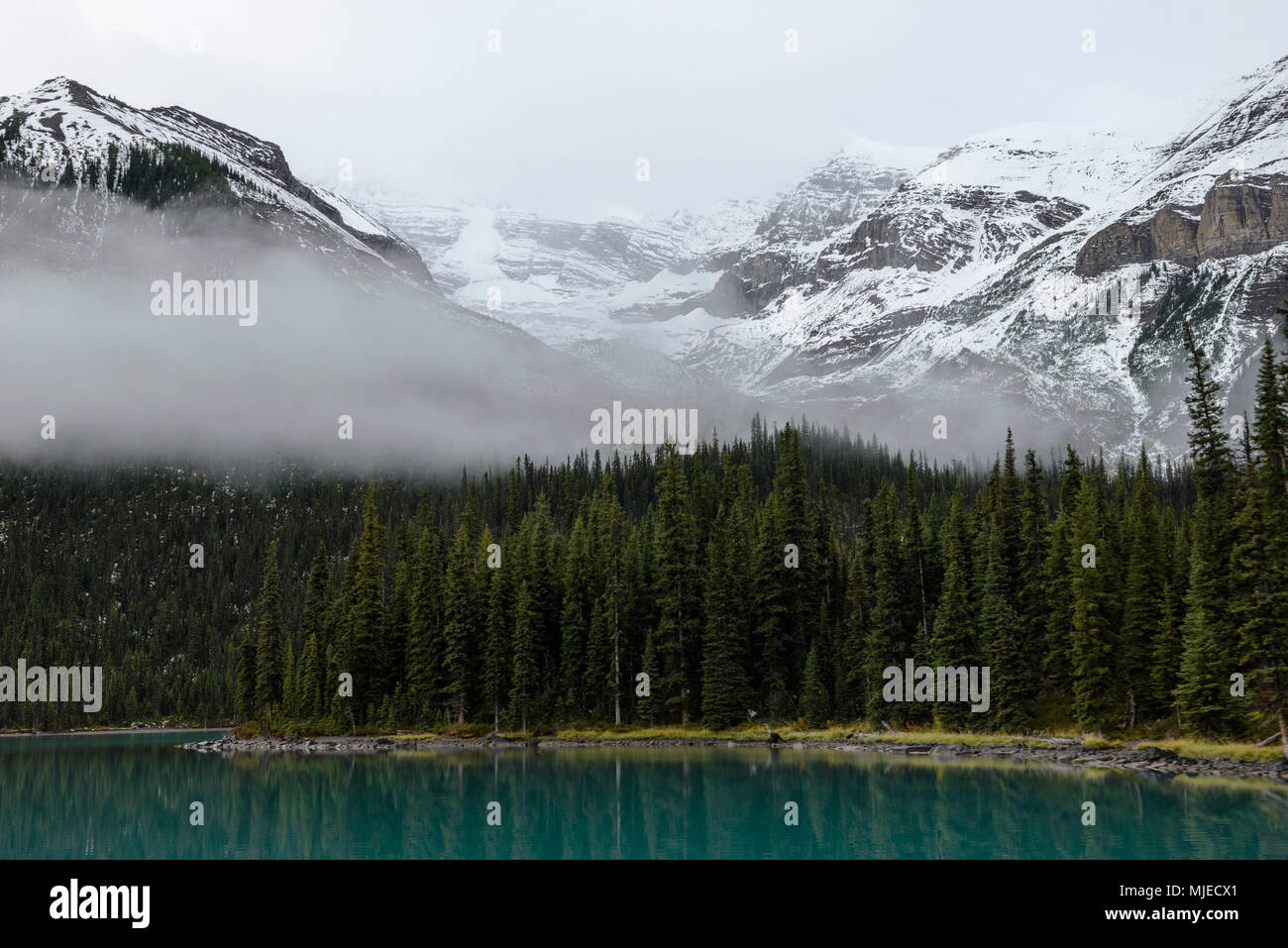 Il Lago Maligne, Alberta, foresta, nebbia, foschia, foschia, montagna, nuvoloso, neve, shore Foto Stock
