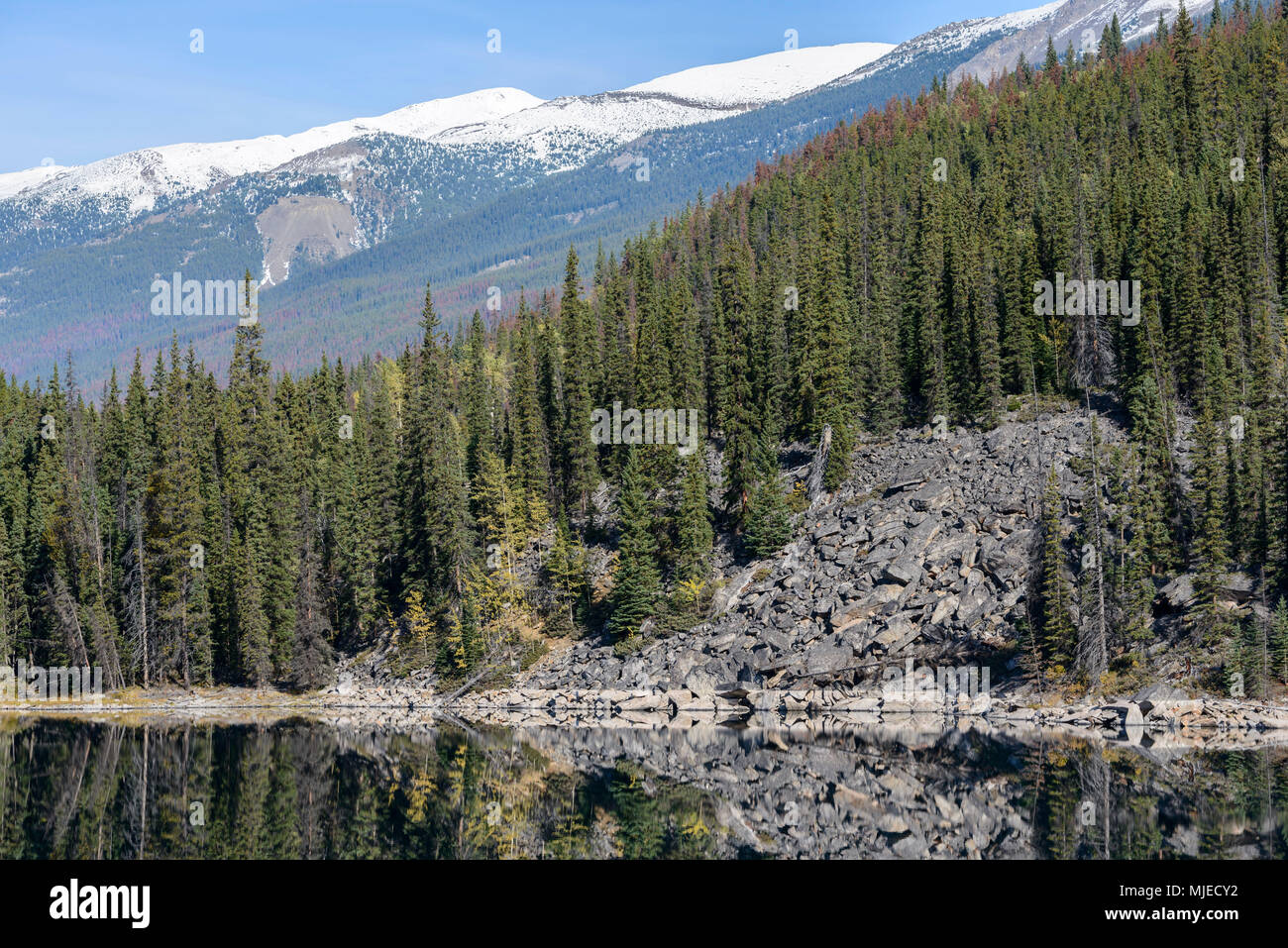 Parco Nazionale di Jasper, lago a ferro di cavallo, Alberta, massi, pietre, pendenza, distruzione, frana, frana, Foresta, Montagne Rocciose Foto Stock