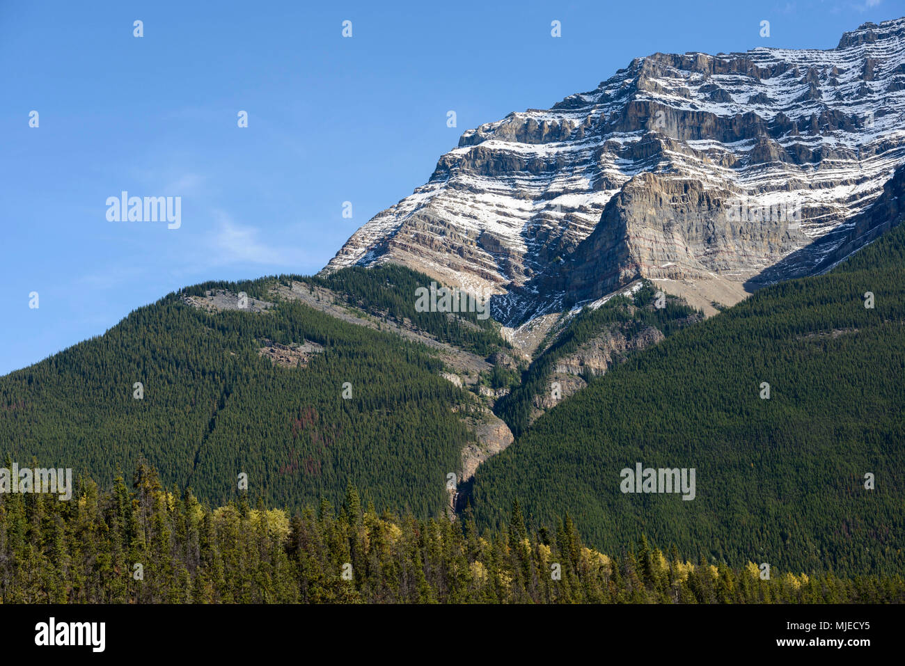 Parco Nazionale di Jasper, l'Athabasca, Alberta, montagna, geologici, geologia, strati, neve, foresta, grand, impressionante Foto Stock