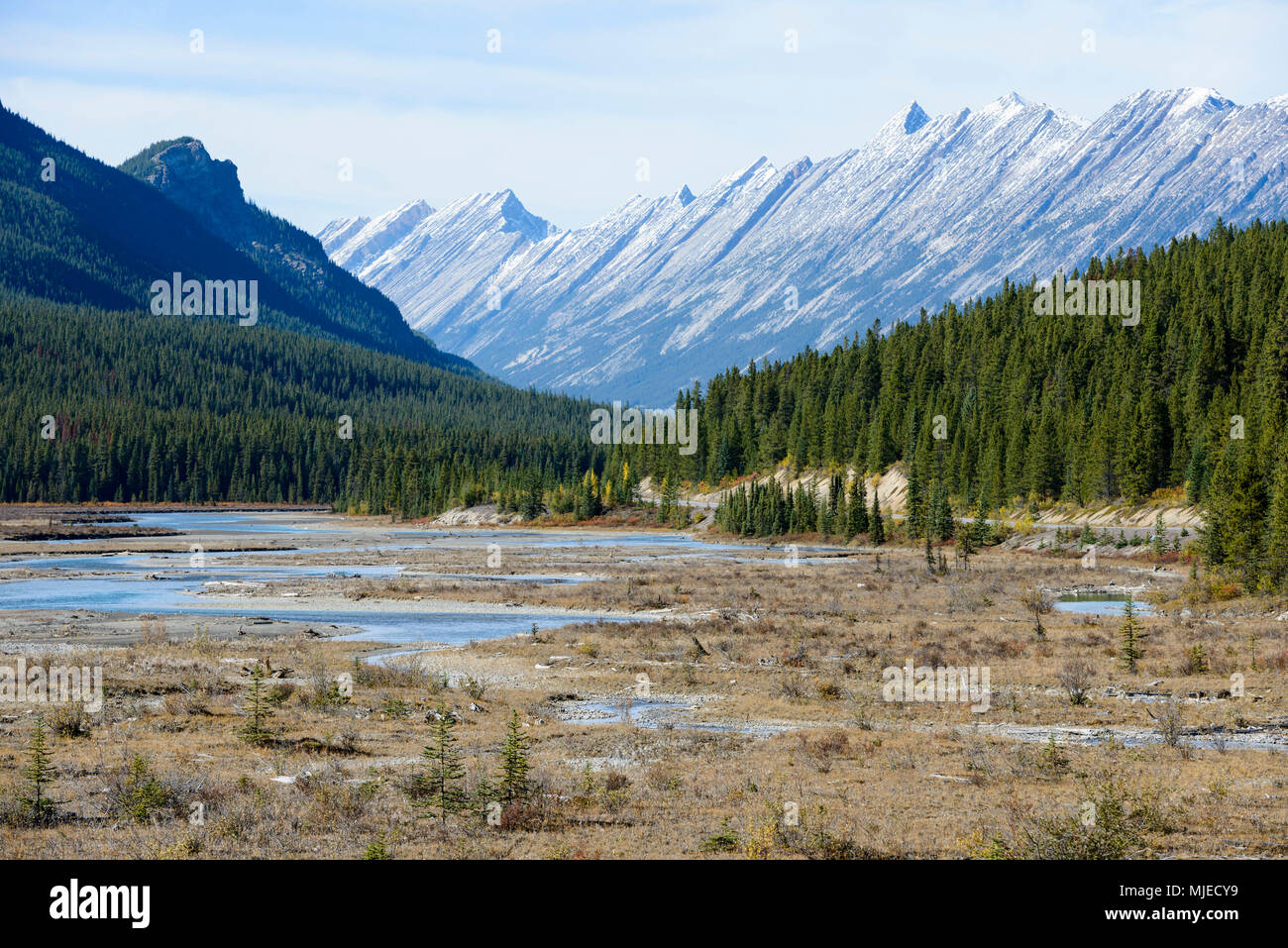 Alberta, Jasper National Park, Canadian Rockies, montagne rocciose, geologia, strati, montagna, foresta Foto Stock