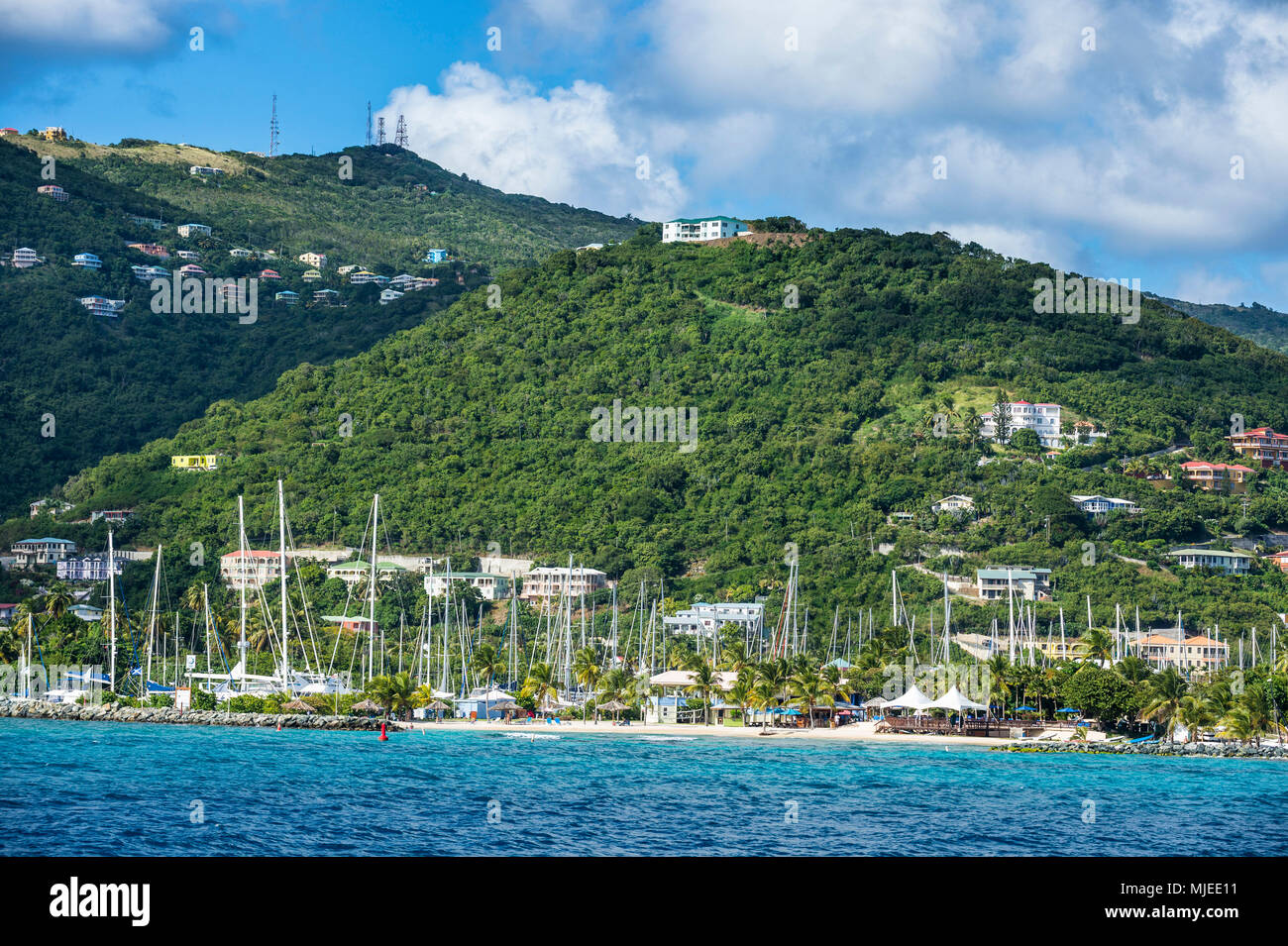 Tortola, Isole Vergini Britanniche Foto Stock