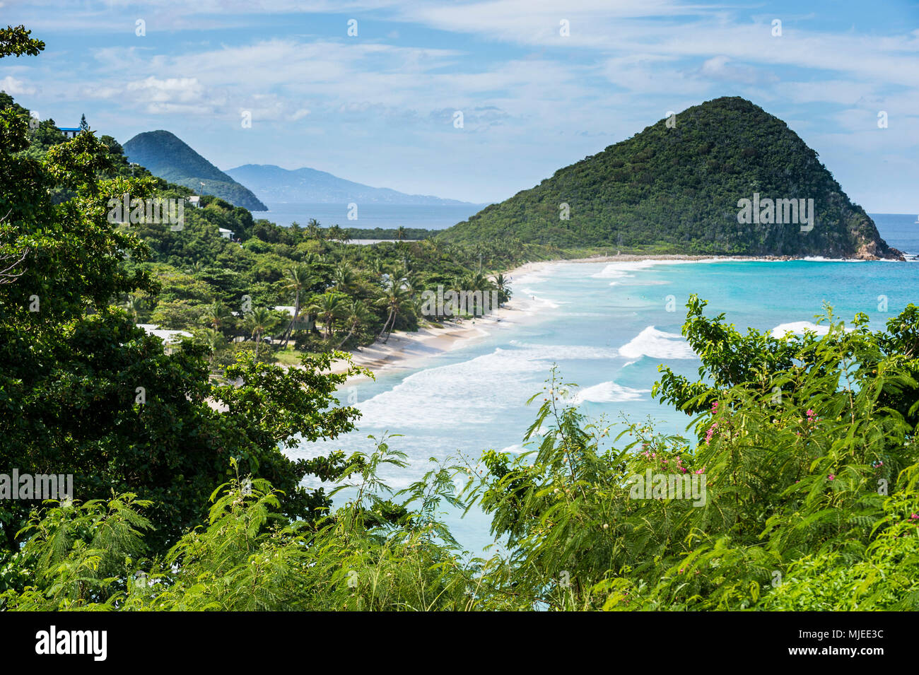 Si affacciano sulla lunga spiaggia, Tortola, Isole Vergini Britanniche Foto Stock