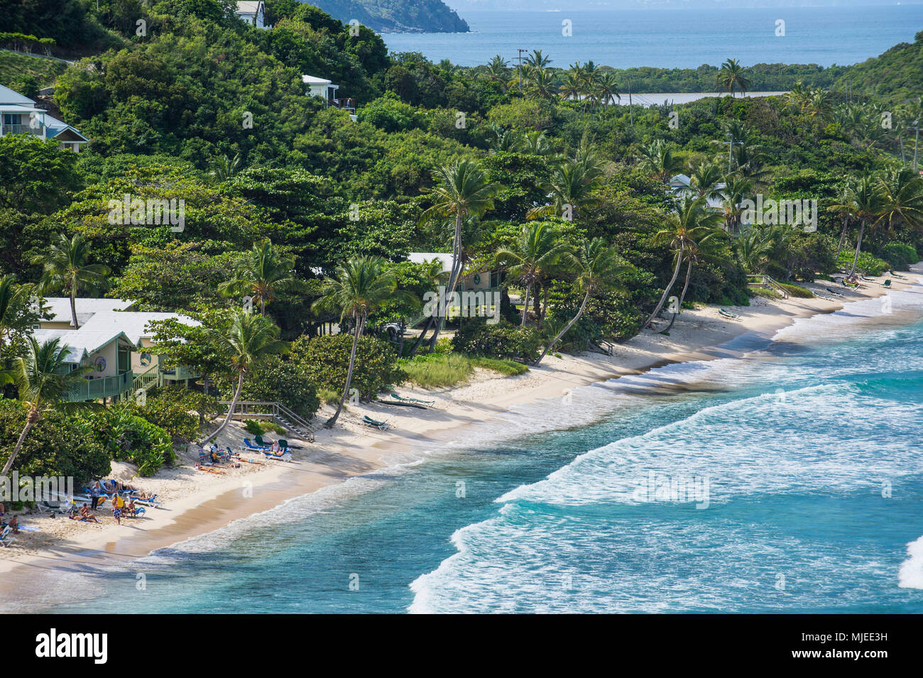 Si affacciano sulla lunga spiaggia, Tortola, Isole Vergini Britanniche Foto Stock