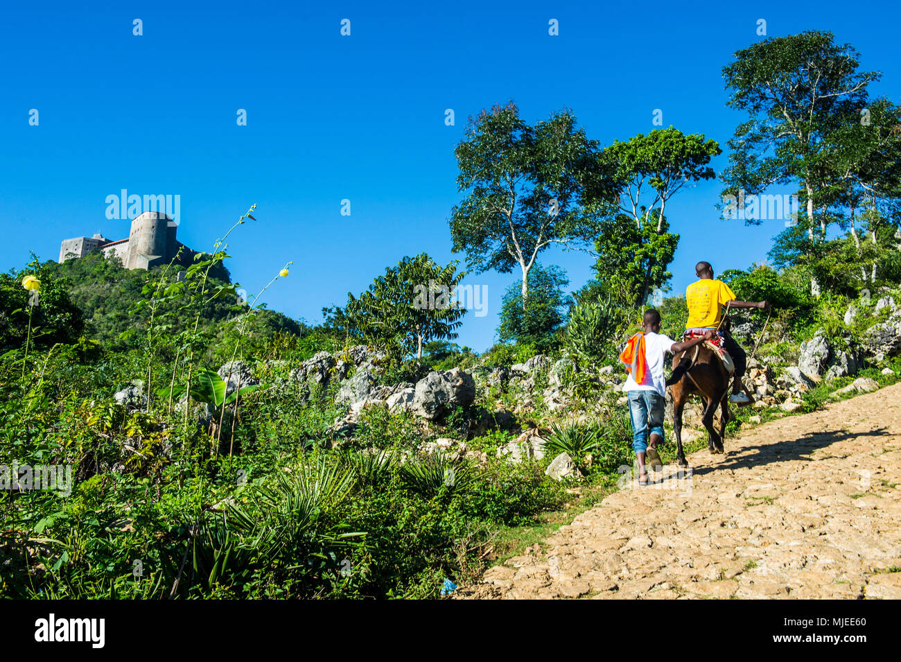 Donkey Ride per il patrimonio mondiale dell'Unesco La Citadelle Laferriere, Cap Haitien, Haiti, Caraibi Foto Stock