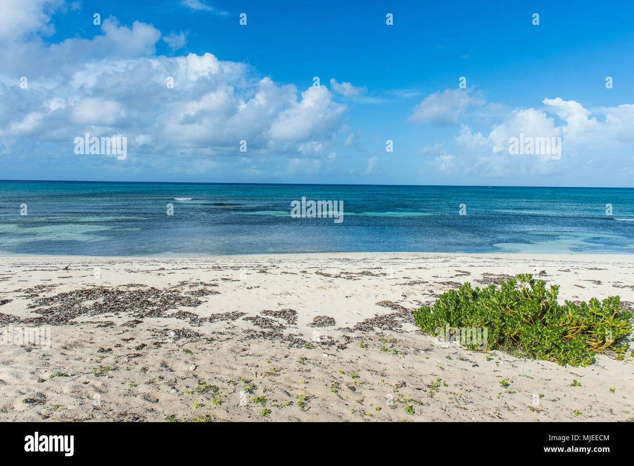 Spiaggia solitaria di Grand Turk, Turks e Caicos Foto Stock