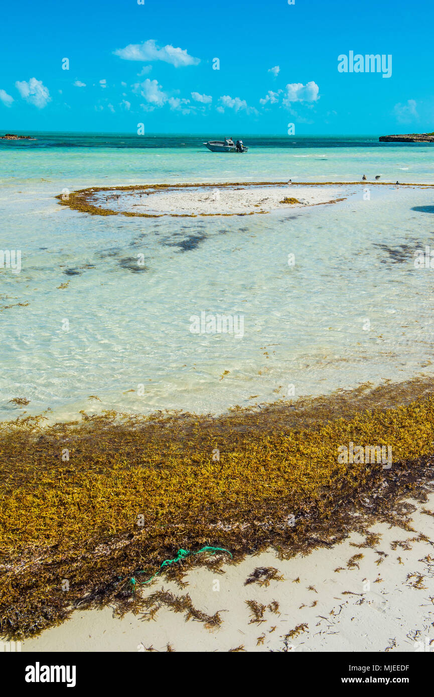 Acque turchesi su cinque Cay Beach, Providenciales, Turks e Caicos Foto Stock