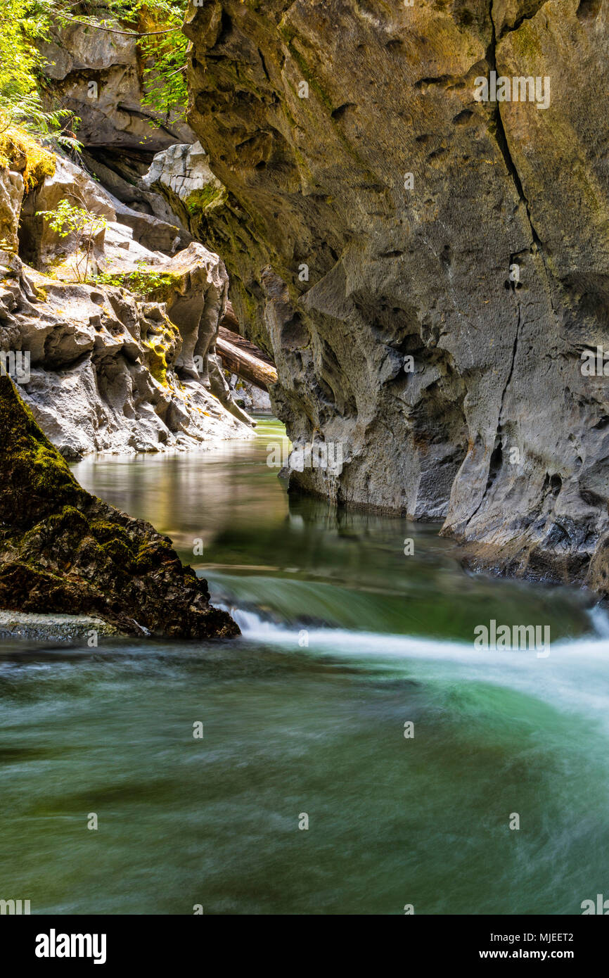 Atluck Creek taglio attraverso il cast calcare creando Huson Ponte naturale Grotta in poco Huson Grotta parco regionale, nel nord della isola di Vancouver, British Columbia, Canada Foto Stock