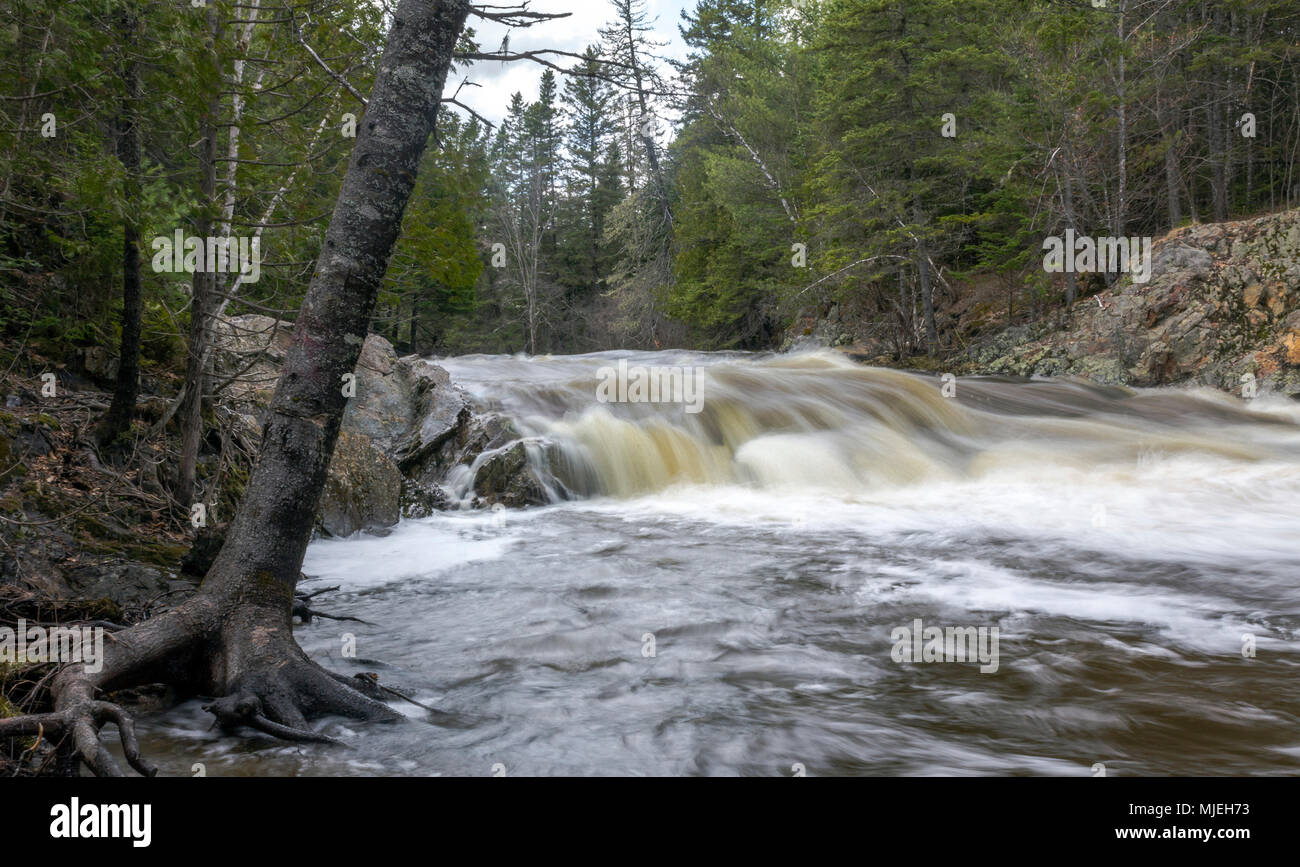 Dennis in streaming in santo Stefano, New Brunswick, in pieno flusso come la molla di run-off continua. Foto Stock