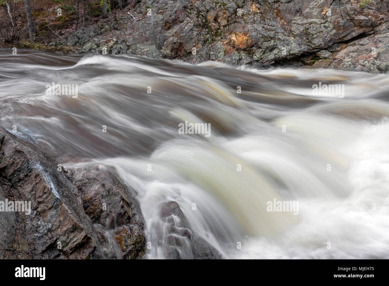 Dennis in streaming in santo Stefano, New Brunswick, in pieno flusso come la molla di run-off continua. Foto Stock