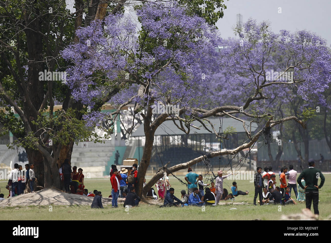 Kathmandu, Nepal. Il 5 maggio, 2018. Popolo nepalese trascorrere il tempo libero giocando sotto un albero di jacaranda in Kathmandu, Nepal, Sabato 05 Maggio, 2018. Credito: Skanda Gautam/ZUMA filo/Alamy Live News Foto Stock