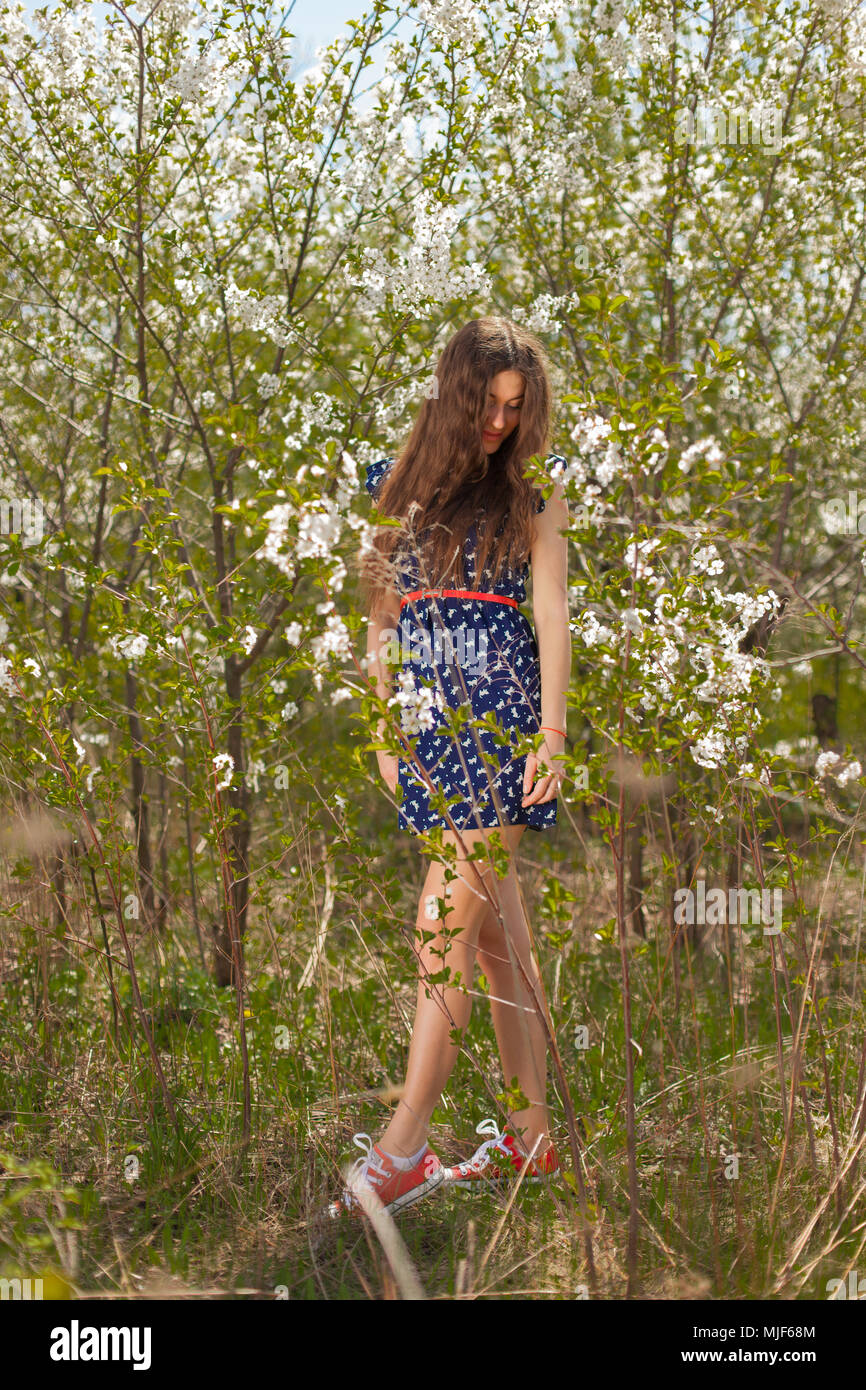 Bella ragazza in un abito di estate circondata da una fioritura di albero in piena crescita Foto Stock