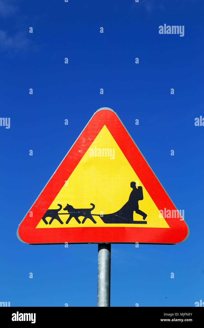 Svedese di cartello stradale attenzione del cane della slitta del team su blue sky. Foto Stock