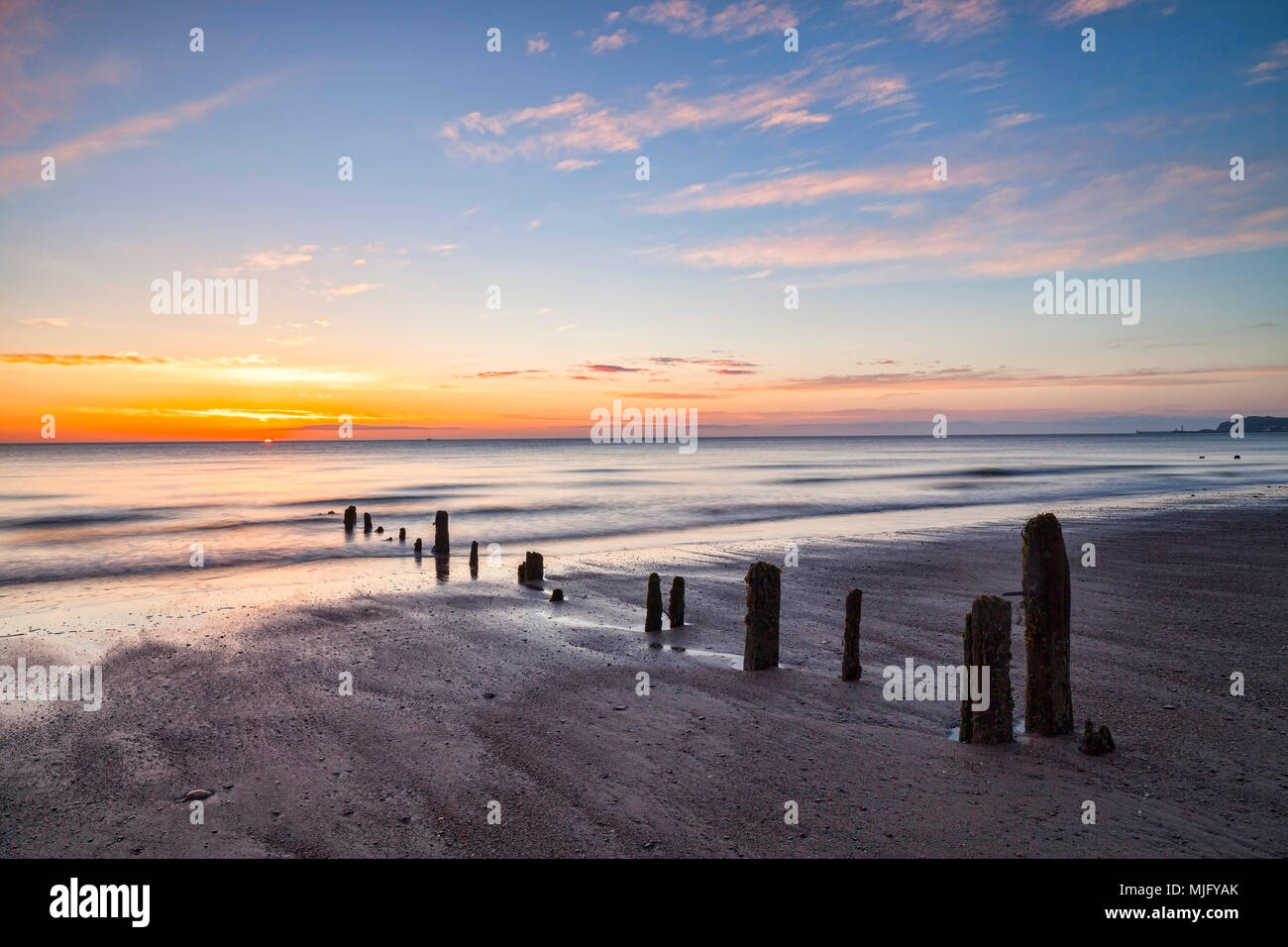 Resti di pennelli sulla spiaggia a Sandsend, Whitby, North Yorkshire, all'alba Foto Stock
