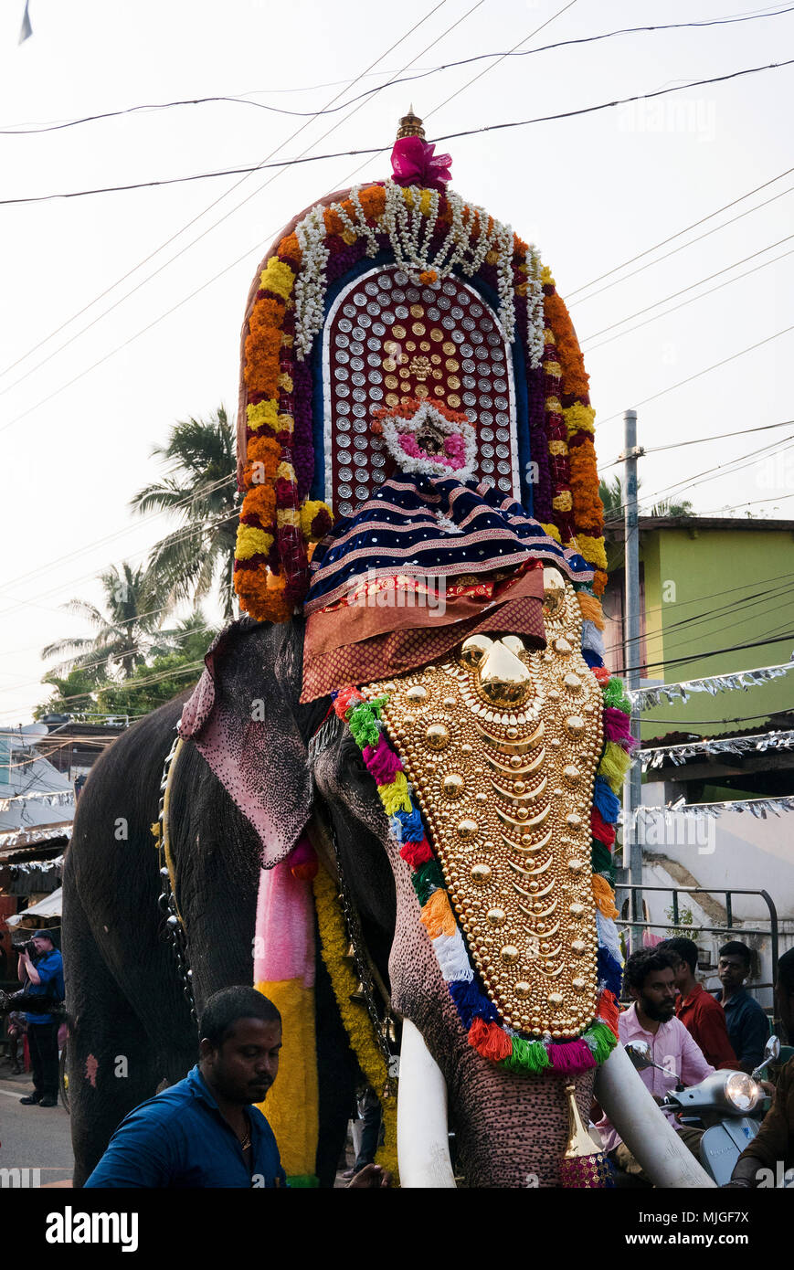 Il Kerala il più prospere e stato in India,con il turismo , ma feste locali sono comuni.Qui uno in Cochin che coinvolgono gli elefanti per Shiva Foto Stock