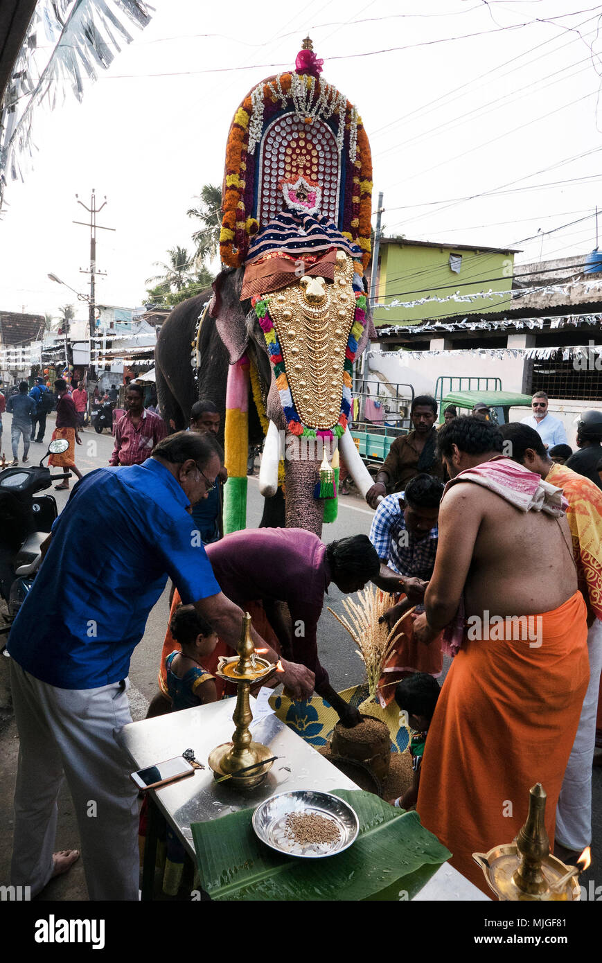 Il Kerala il più prospere e stato in India,con il turismo , ma feste locali sono comuni.Qui uno in Cochin che coinvolgono gli elefanti per Shiva Foto Stock